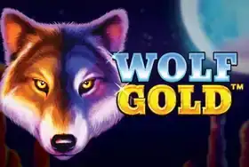 Wolf Gold at Wolf Winner